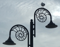 Lyme Regis sea gull and ammonite lamps
