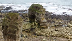 the cliffs are mostly limestone and so have been subject to extensive erosion